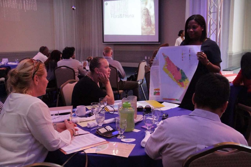 Aruba Certification Program na Divi Corporation