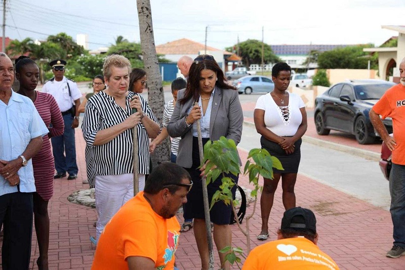 planta mata na acto solem pa recorda Rishandroh y Roshandrick 03