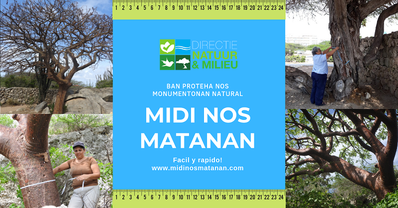 Copy of Midi Nos Matanan 7