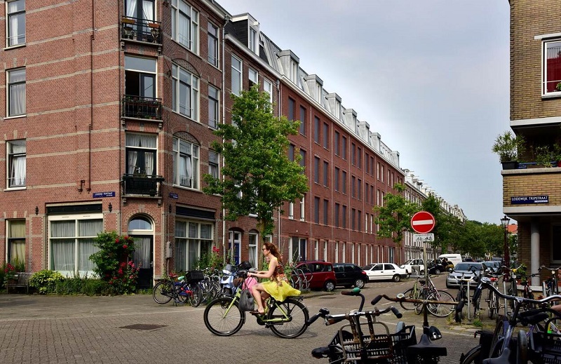 2015 06 woningwet karinlaglas fagel 3778 1920 1