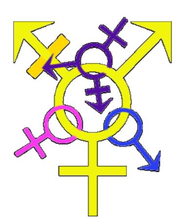 TRANSGENDER