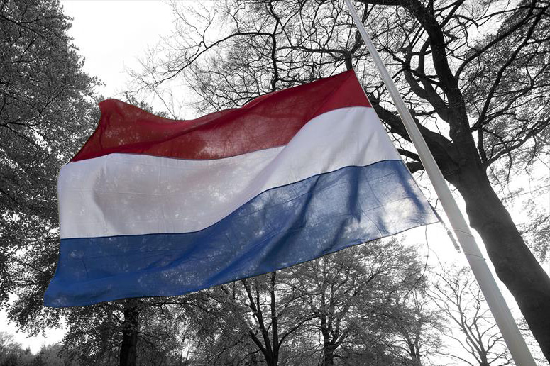 HALVE STOK